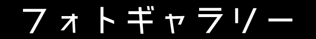 フォトギャラリー