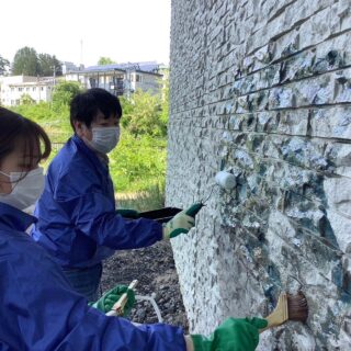 桜町調剤薬局 ...