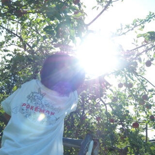 桜町調剤薬局 りんご狩りR7.